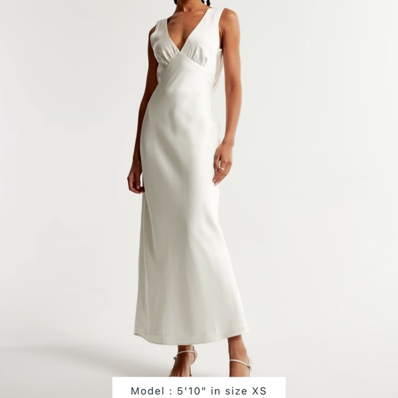 Abercrombie and Fitch Plunge Cowl Back Maxi Dress - Picture 1 of 2